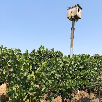 TerraDi6SQ